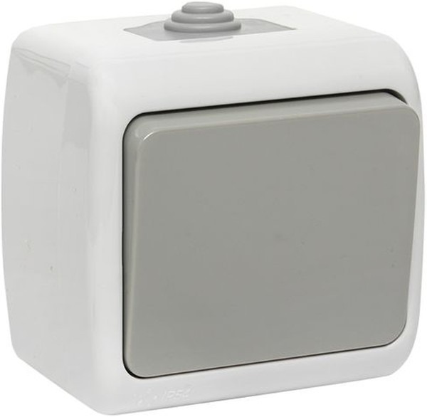 Мурманск Выключатель 1 -кл. 10А IP54 сер. EKF  в Муроме