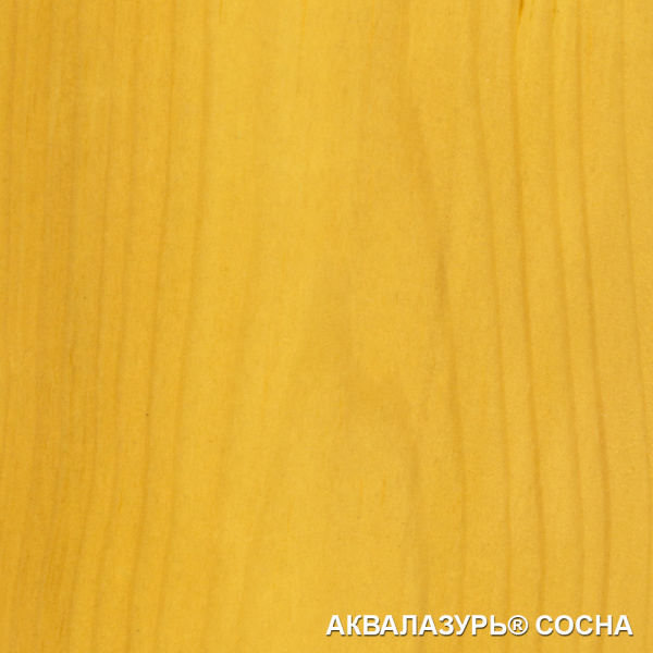 Сосна