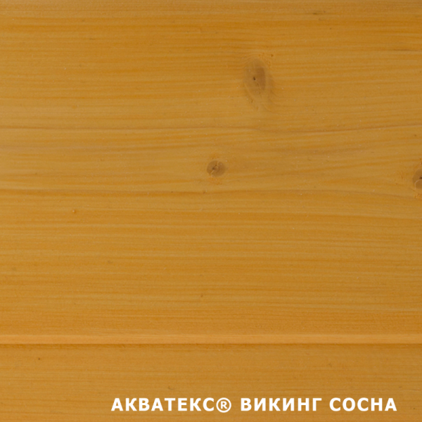 СОСНА